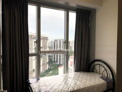 Queens Peak (D3), Condominium #502918231